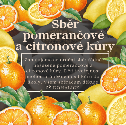 Sběr pomerančové a citronové kůry ZŠ Dohalice