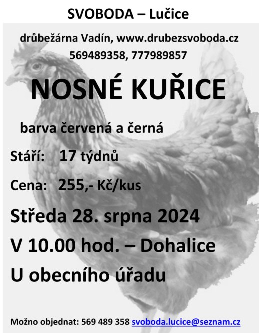 Prodej kuřic Svoboda Lučice