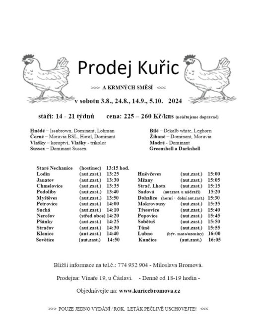 Prodej kuřic Bromová